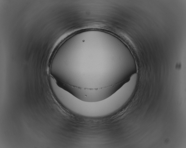 X0000090901324200708270936