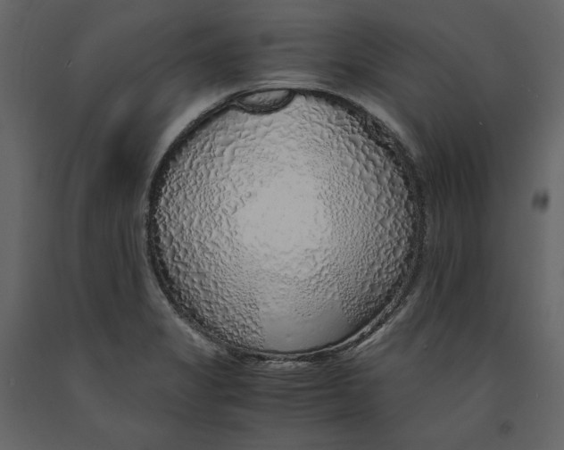 X0000090901325200708270936