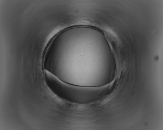 X0000090901326200708270936