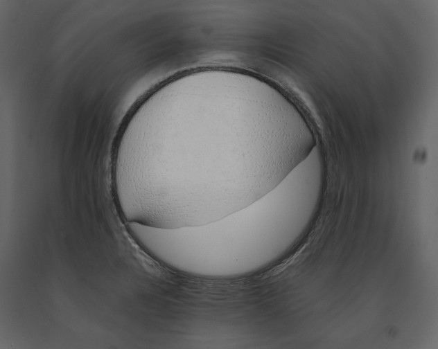 X0000090901328200708270936