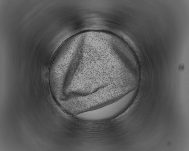 X0000090901329200708270936