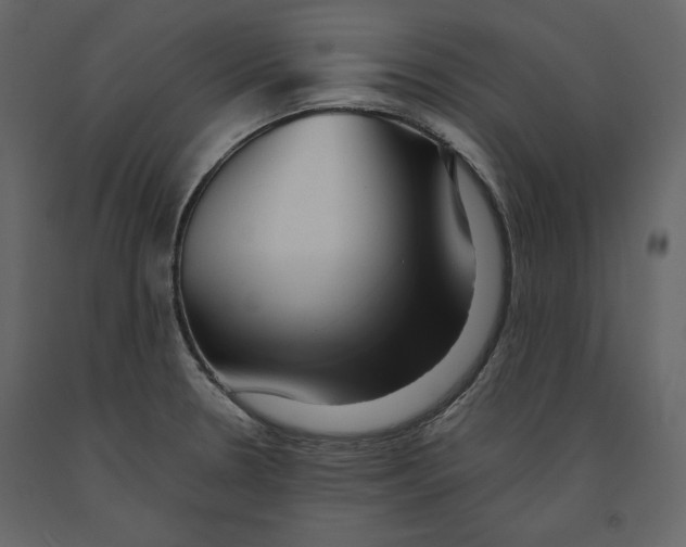 X0000090901330200708270936