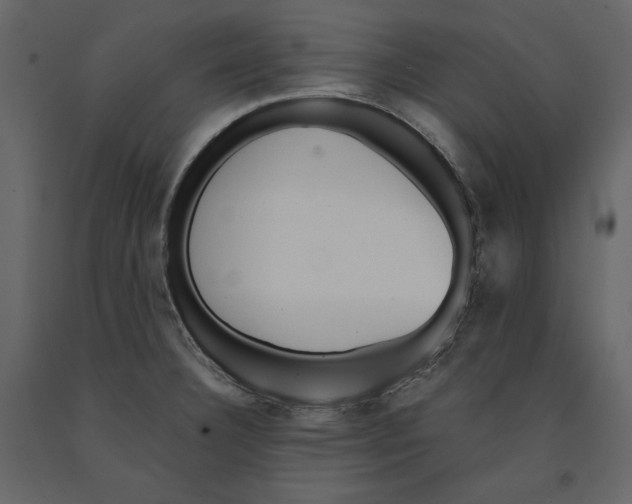 X0000090901332200708270936