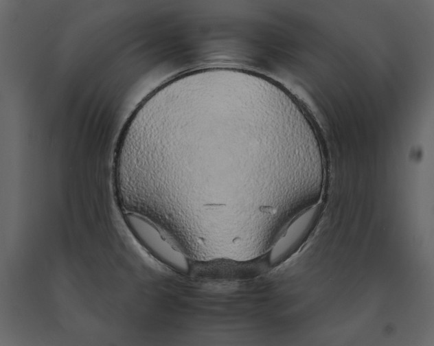 X0000090901333200708270936