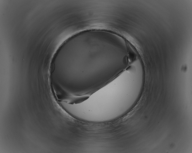 X0000090901334200708270936