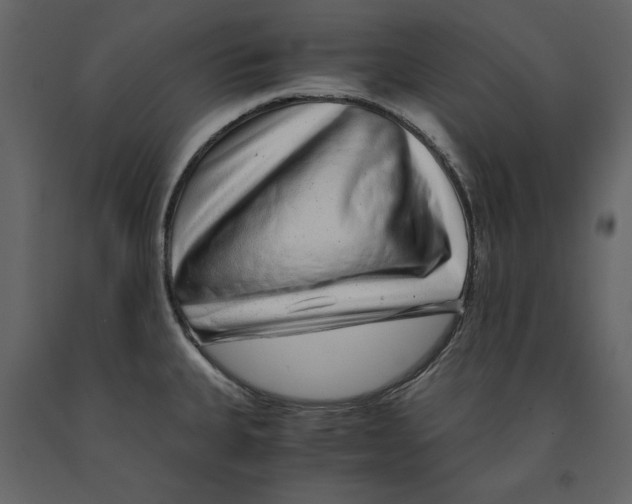 X0000090901335200708270936