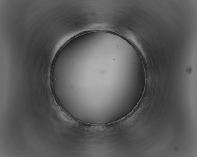 X0000090901336200708270936