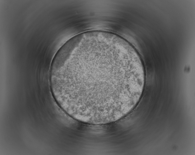 X0000090901338200708270936