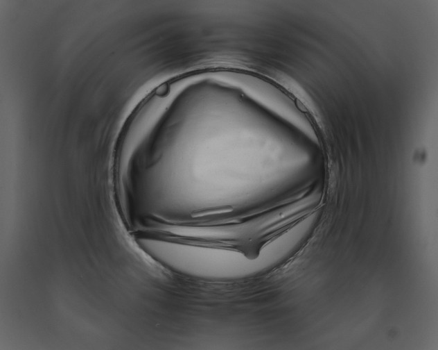 X0000090901339200708270936