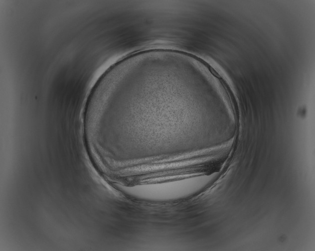 X0000090901341200708270936