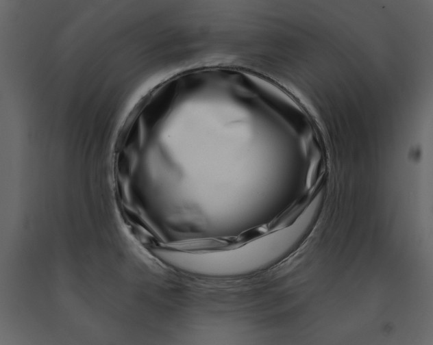 X0000090901342200708270936