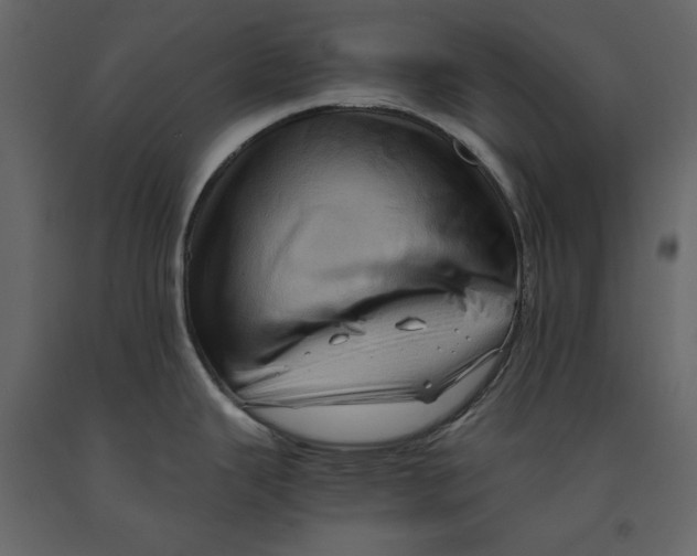 X0000090901343200708270936