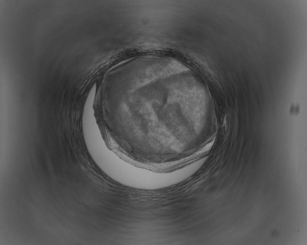 X0000090901348200708270935