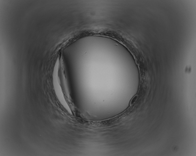 X0000090901349200708270935