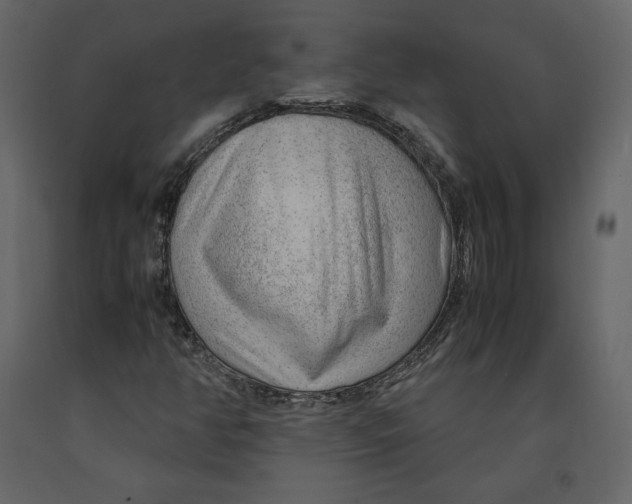 X0000090901350200708270935