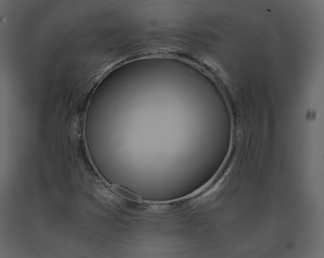 X0000090901353200708270935