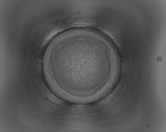 X0000090901355200708270935