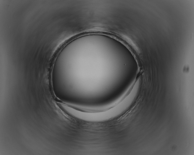 X0000090901356200708270935