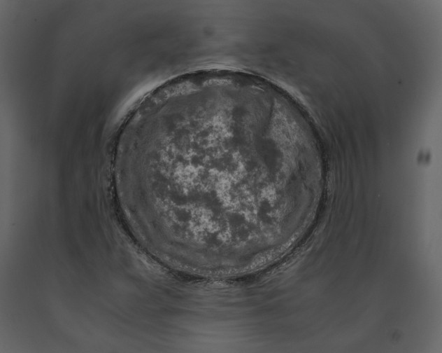 X0000090901359200708270935