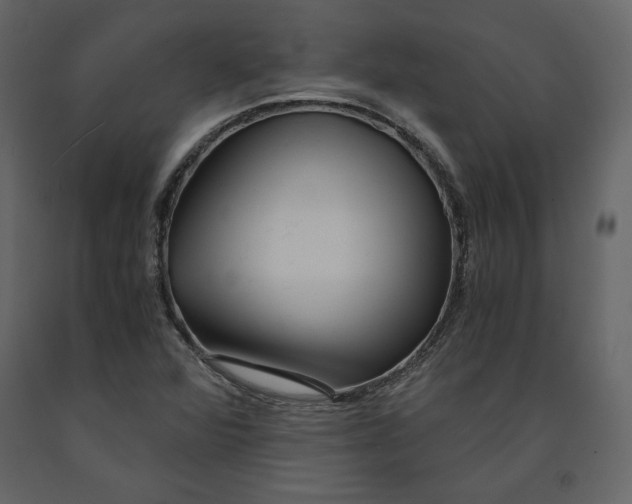 X0000090901360200708270935