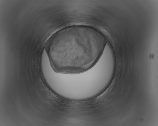 X0000090901361200708270935