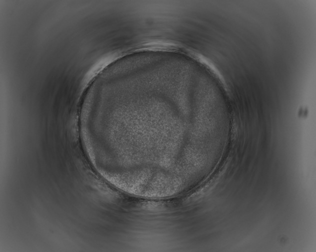 X0000090901362200708270935