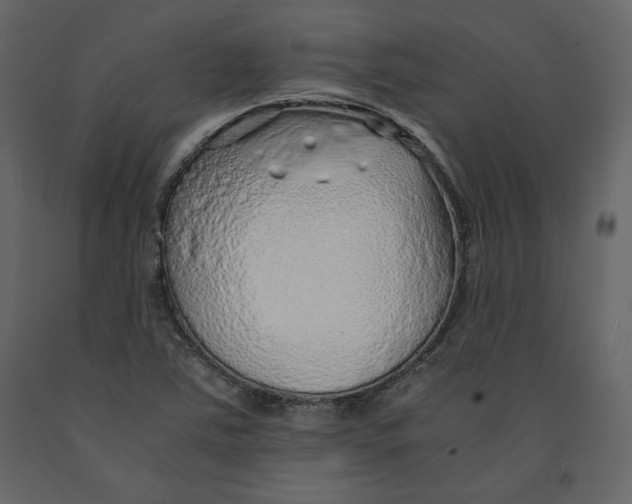 X0000090901363200708270935