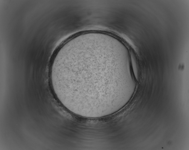 X0000090901364200708270935