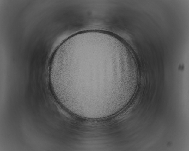 X0000090901366200708270935