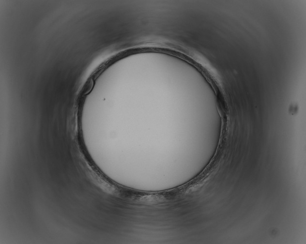 X0000090901368200708270935