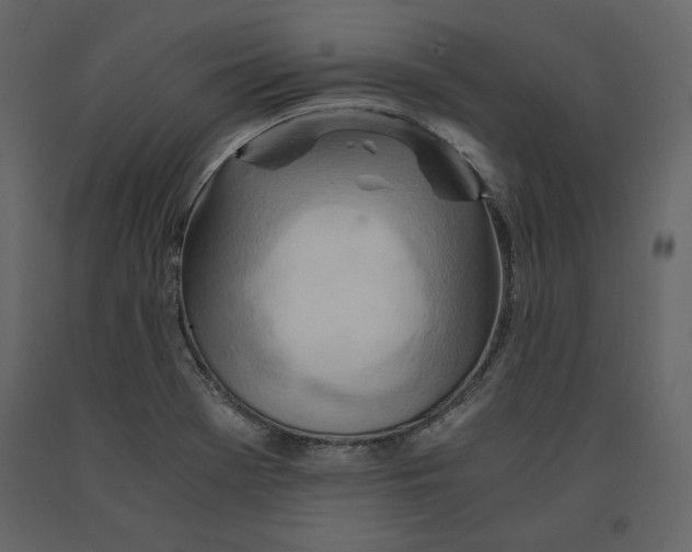 X0000090901369200708270935