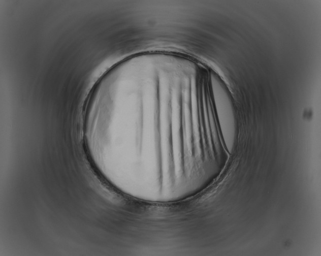 X0000090901371200708270935