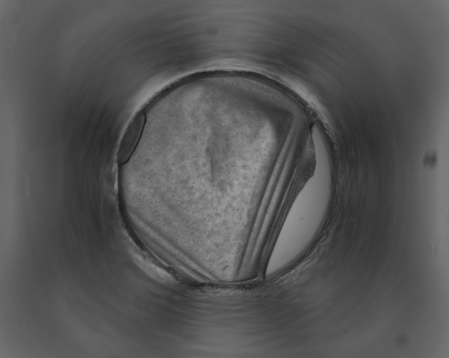 X0000090901372200708270935