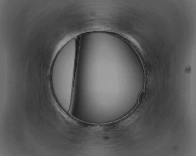 X0000090901373200708270935