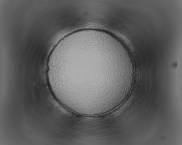 X0000090901374200708270935