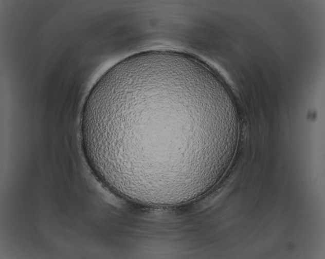 X0000090901375200708270935