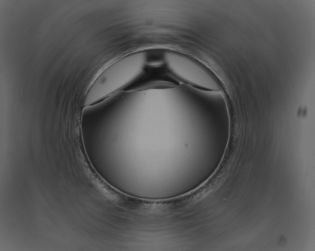 X0000090901377200708270935