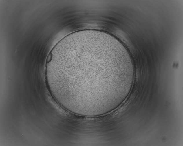 X0000090901378200708270935