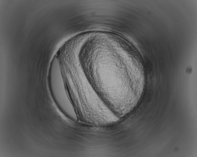 X0000090901379200708270935