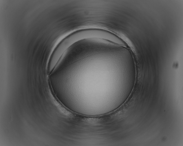 X0000090901380200708270935