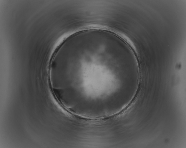 X0000090901381200708270935