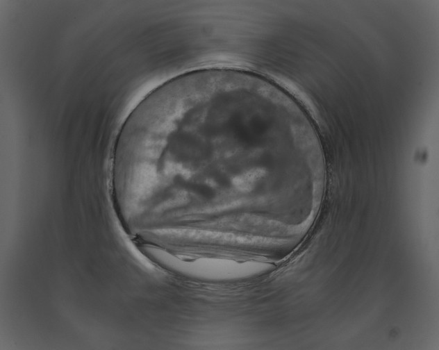 X0000090901383200708270935