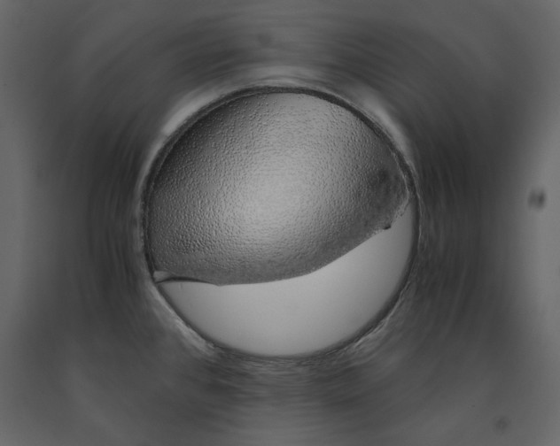 X0000090901384200708270935