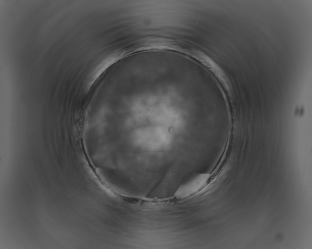 X0000090901385200708270935