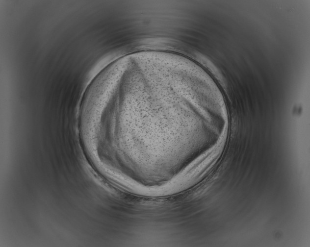 X0000090901386200708270935