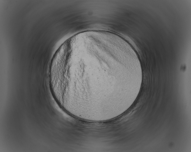 X0000090901387200708270935