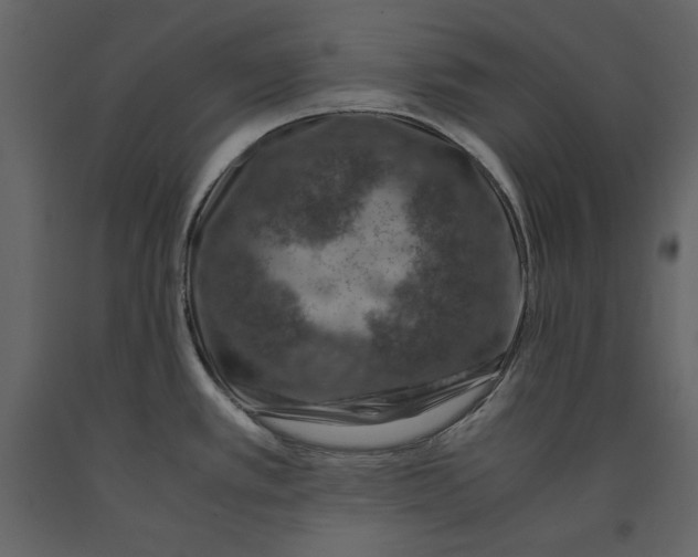 X0000090901389200708270935