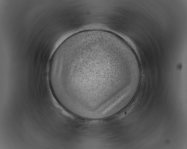 X0000090901390200708270935