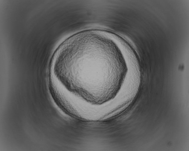 X0000090901391200708270935