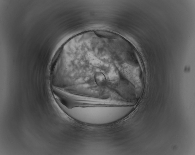 X0000090901392200708270935